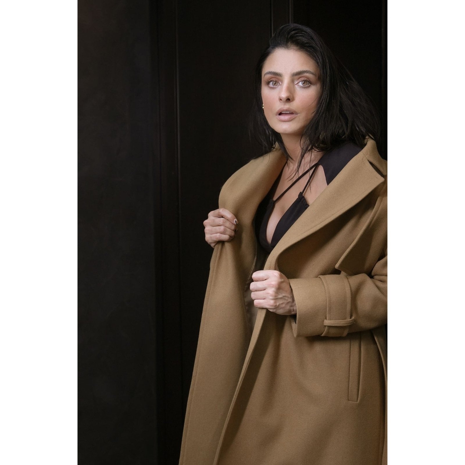 23701-cam-2 23701-cam-2